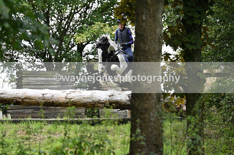 WJ7_8217 - Time 14:11 to 14:30