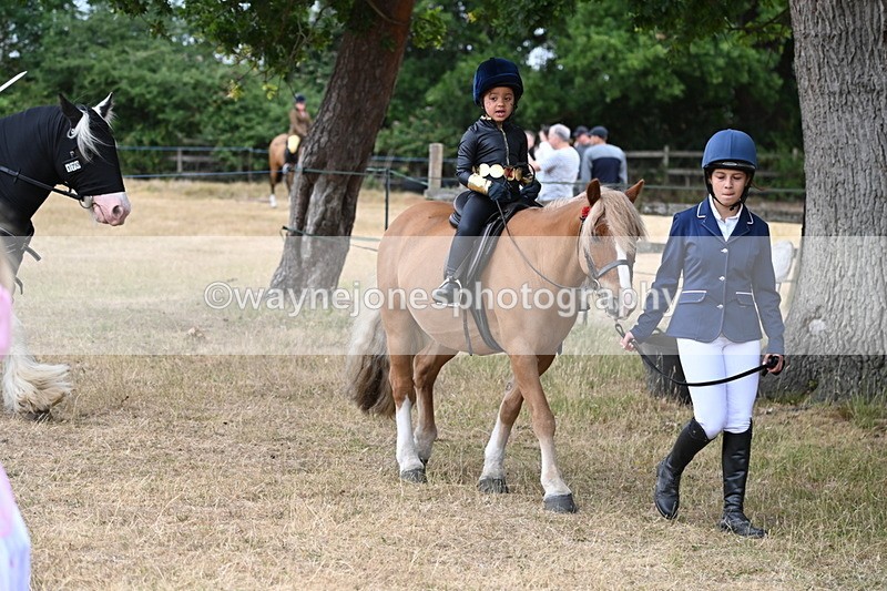 WJ6_8881 - Class 11 Fancy Dress