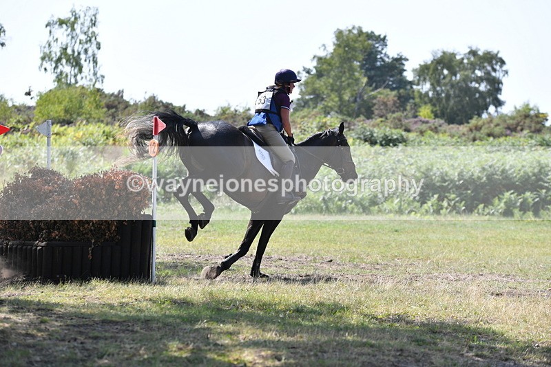 WJ5_3424 - XC Time 13:30 to 14:00