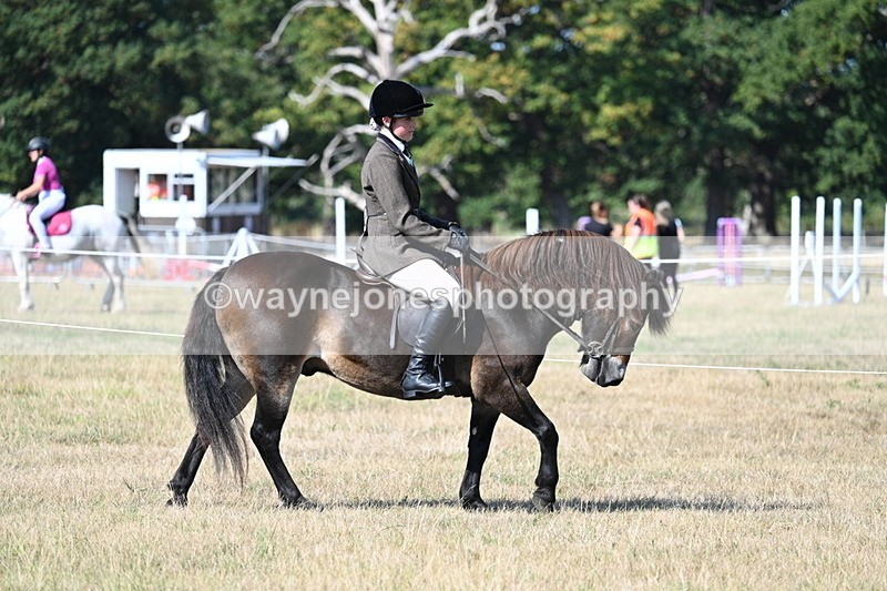 WJ7_3443 - Class 9 Mountain & Moorland Ridden