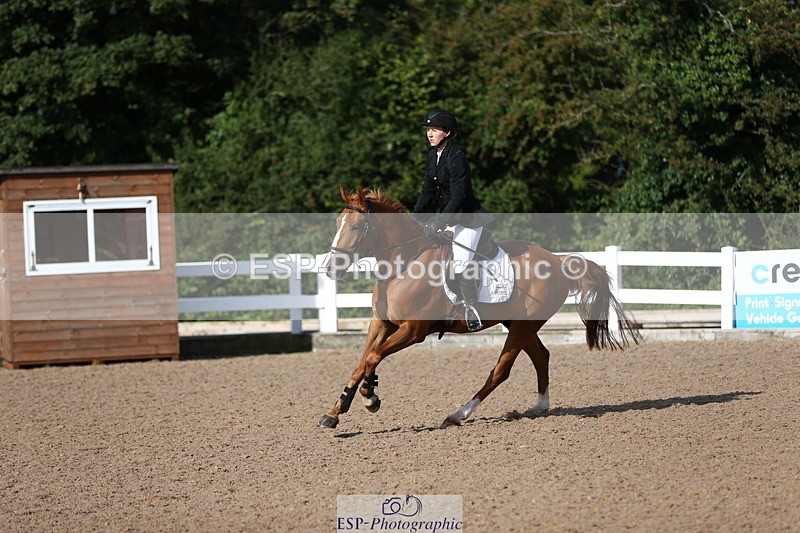 230811A-090955-02797 - Cls 13 A&B Snr Brit Nov & 90cm Open