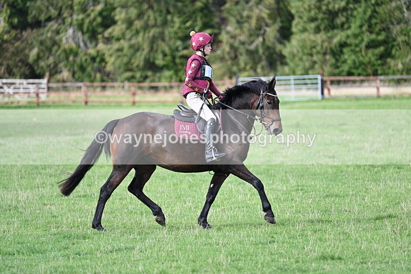 WJ7_0631 - Time 13:55 to 14:26