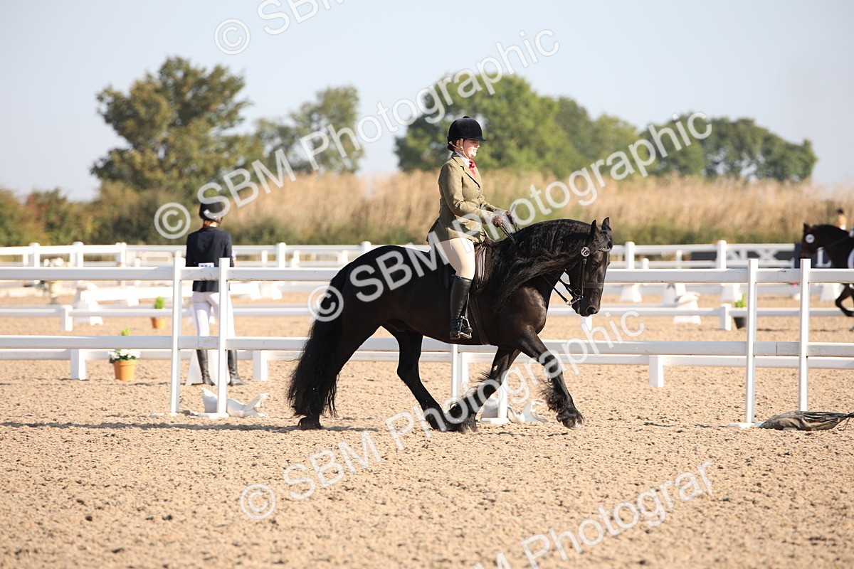 SBM_00688 - Class 14 Ridden M&M Wildcard