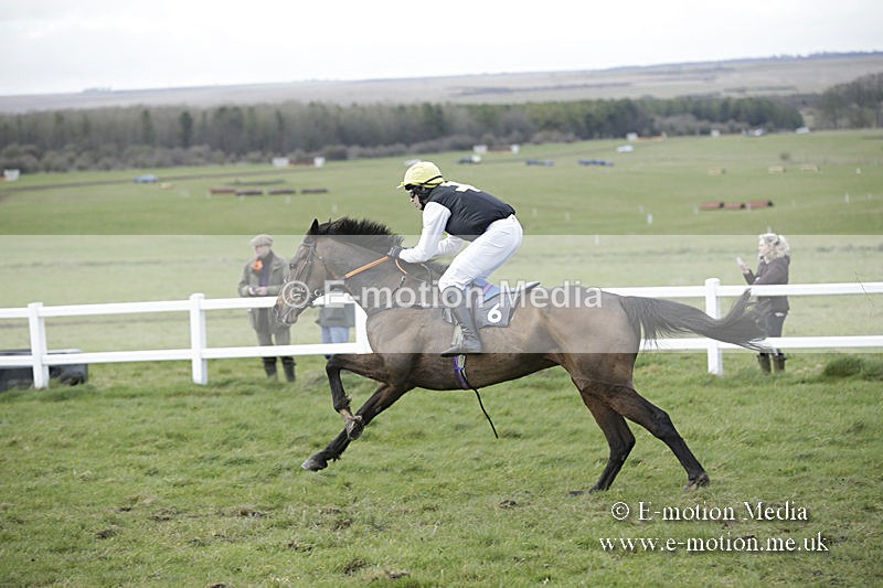 PtP 150320 0692 - New Forest Point-to-Point Larkhill 15/03/20