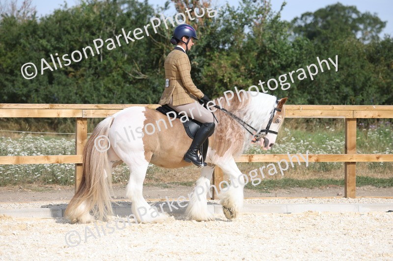 20260802-0390 - Class 6 - Veteran Ridden