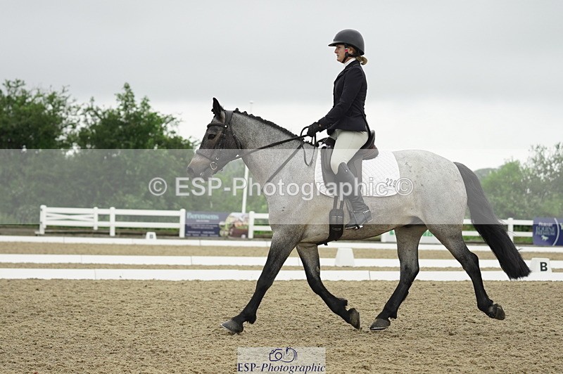 230708A-100810-00317 - Intro C