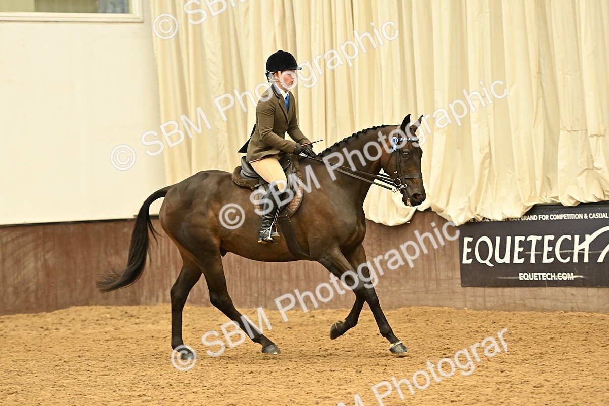 SBM_001989 - Class 24 - BSHA Ridden Racehorse to Show Horse