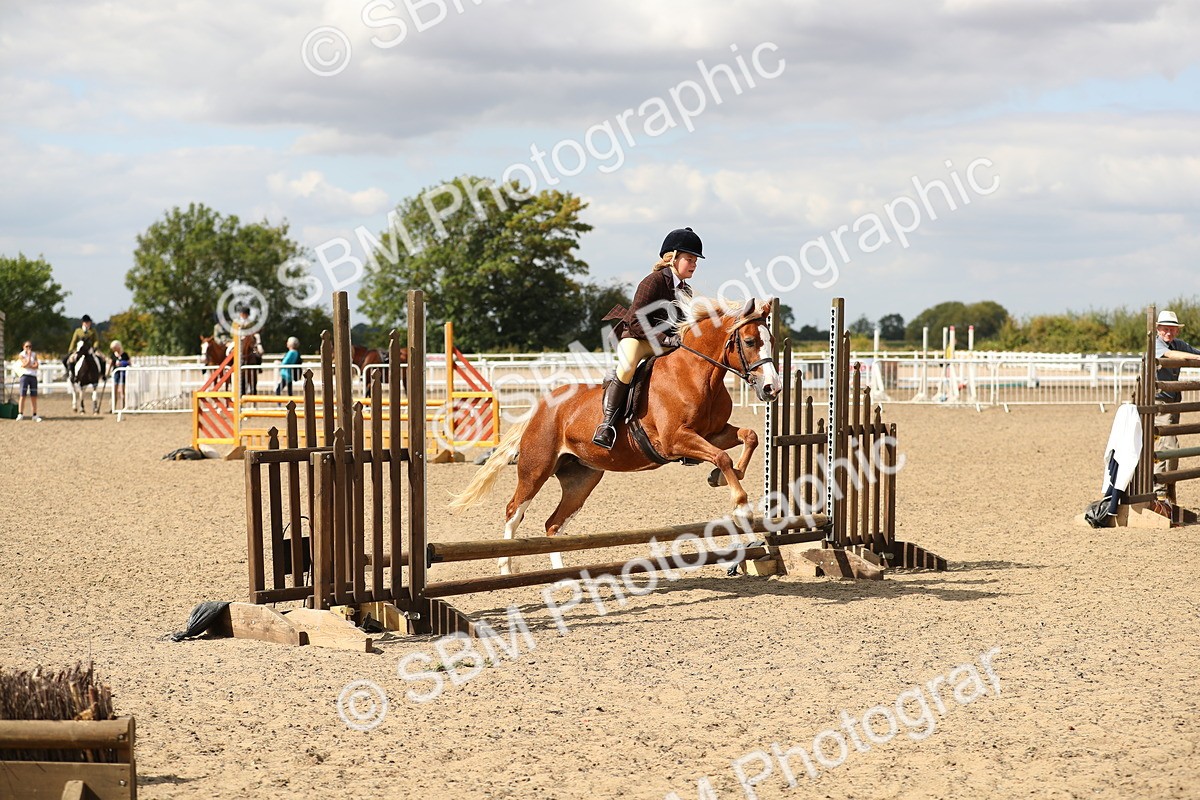 SBM_04739 - Class 46b Style & Performance 50cm (20+)