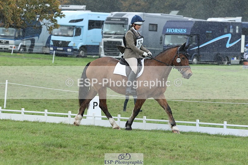 251024A-145545-14317 - G-575-Victoria.Woodland