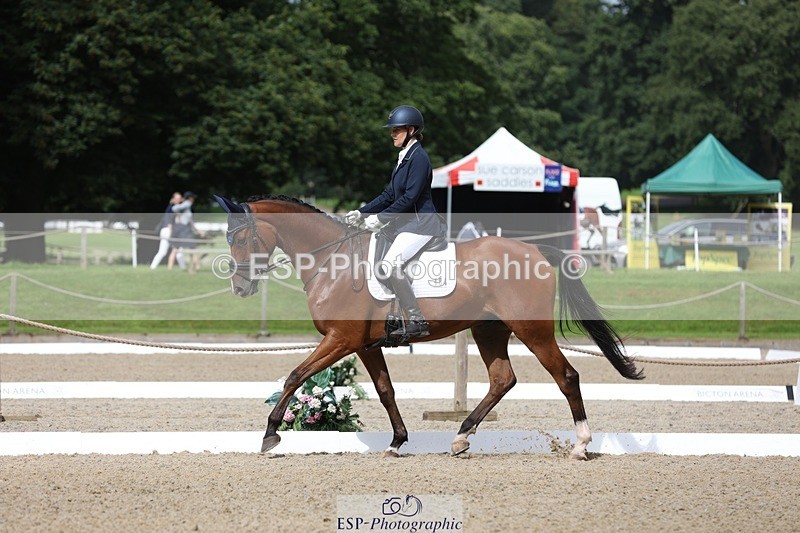 230812-104152-03309 - Cls 5 Novice Bronze Start to 10.55 break