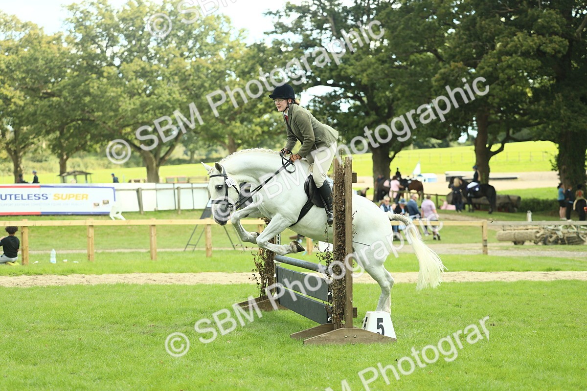 SBM_47937 - S32 - Novice & Newcomers Working Hunter