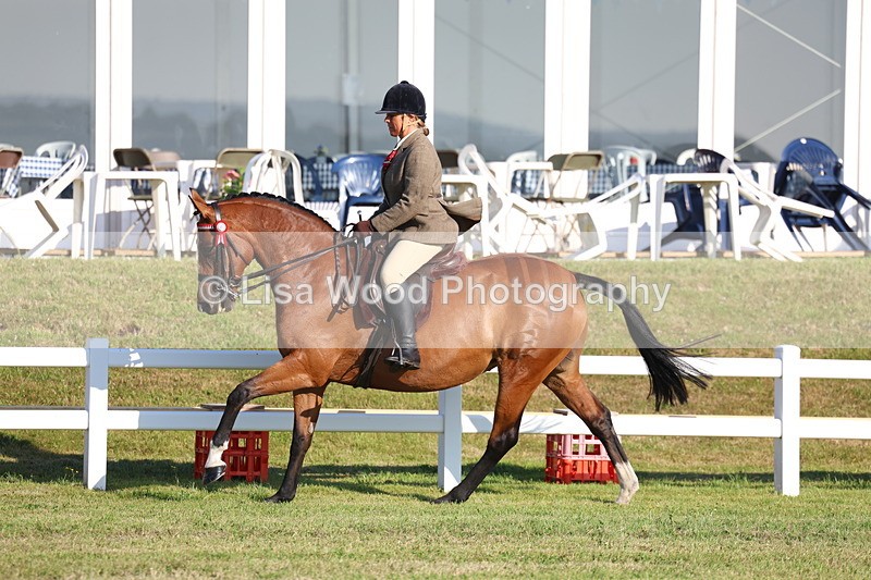 3E7A5019 - Class 1: Rising Star Small Hack/Riding Horses