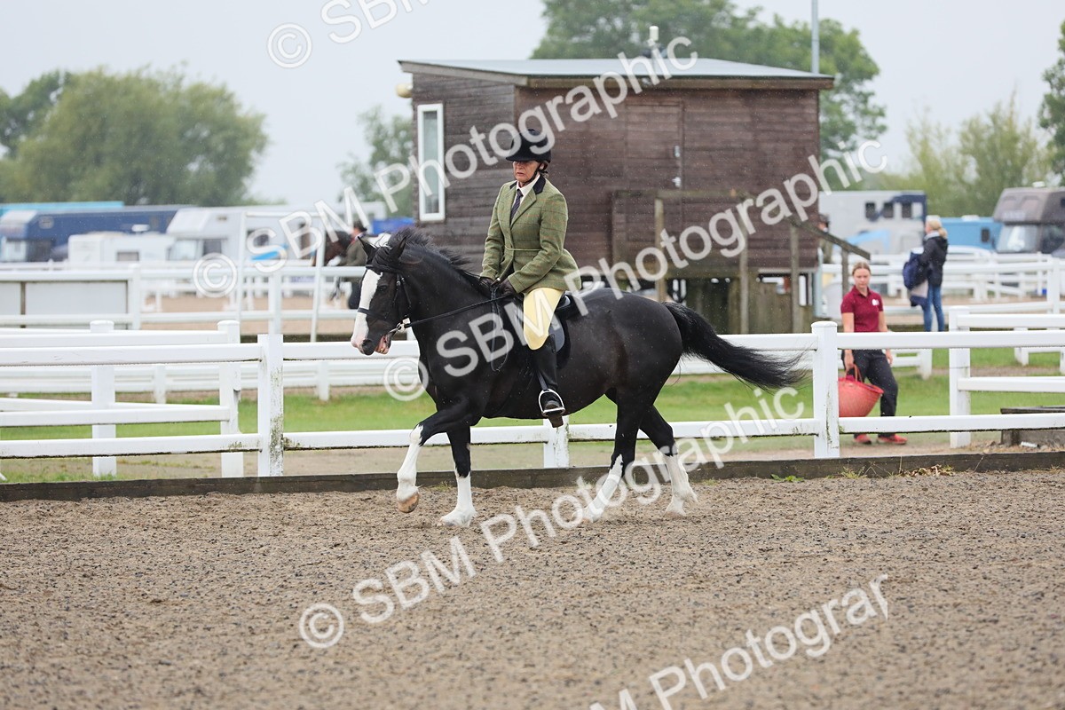SBM_20068 - Class 802 - Ridden Groom - Helpers class