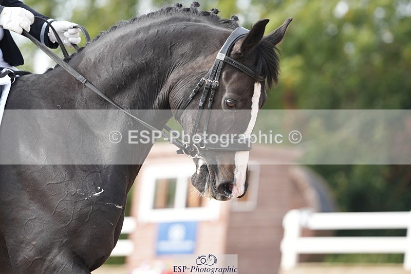 250907-155352-09691 - 057-Joanna.JohnsRockoko