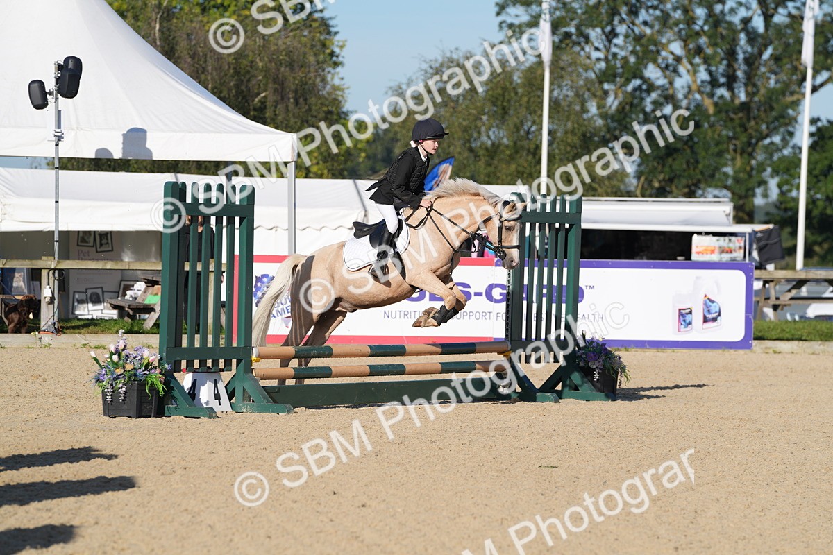 SBM_34420 - J62 - Clear Round 50cm