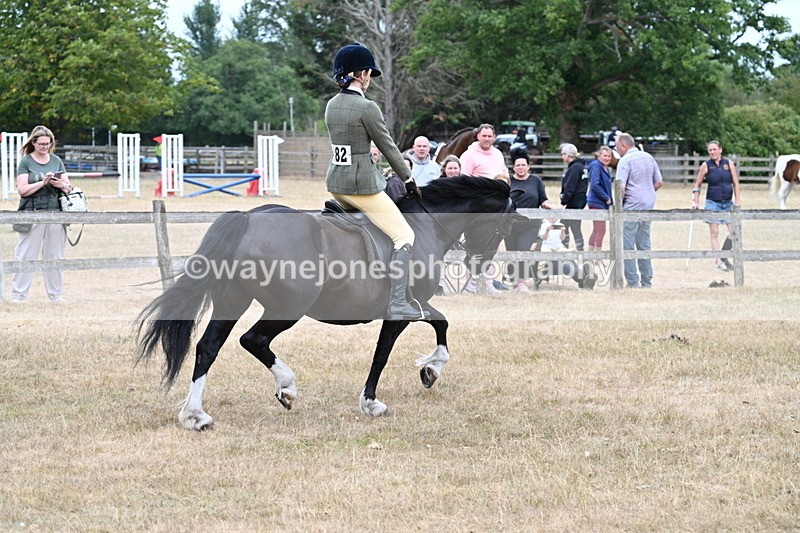 WJ7_0476 - Class 6 Ridden Mountain and Moorland