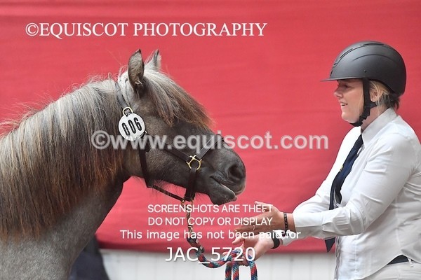 JAC_5720 - 6 Glenmuir Niamh