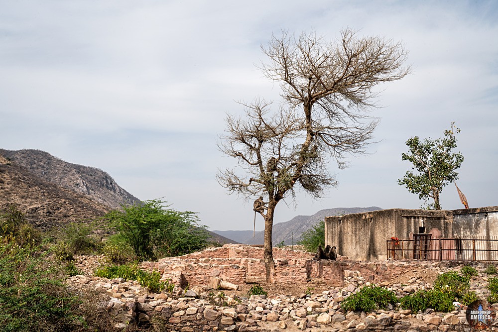 Abandoned Bhangarh Fort, India | Monkey Tree - ABANDONED INDIA