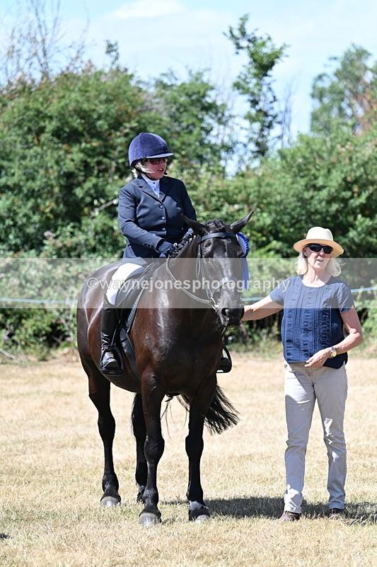 WJ7_3176 - Class 7 Riding Club Show Horse