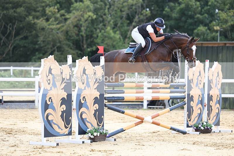 3E7A4446 - Class 8: Senior Foxhunter/1.20 open