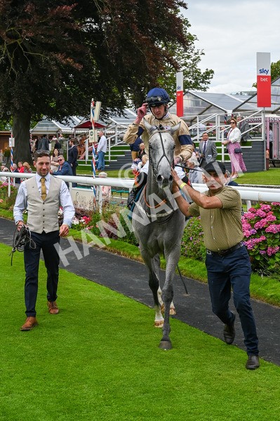 270724-Race 4-Greydreambeliever-9627 - Race 4 4.00pm Sky Bet Club EBF Fillies' Novice Stakes