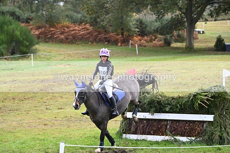 WJ6_1769 - 80cm Cam 1 Time 10:08 to 10:45