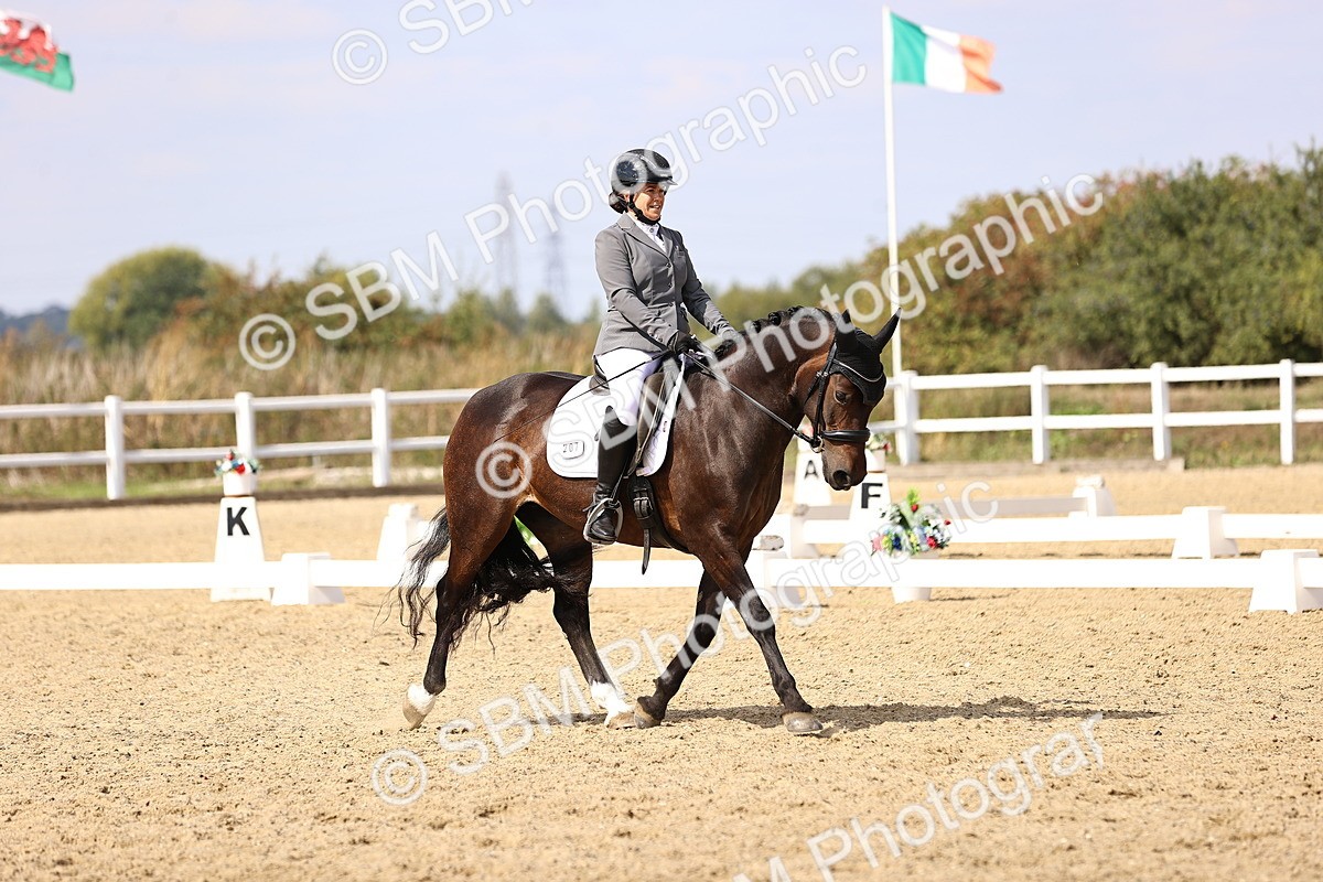 SBM_015011 - Class 6 - Elementary 5