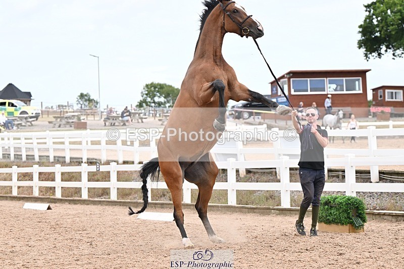 250716-155104-02226 - Trot Up 3.30 to 4.30