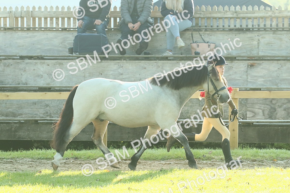 SBM_57389 - S37 - Starters In Hand Showing