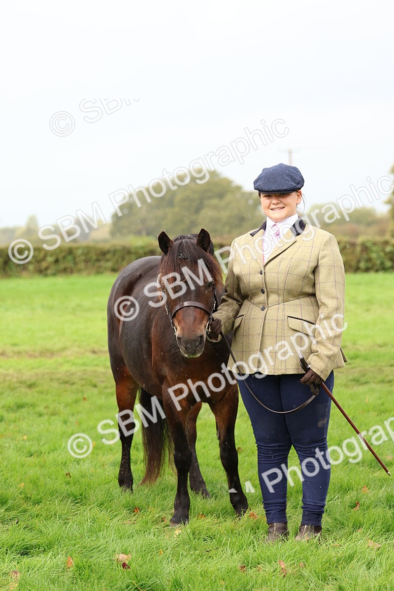 SBM_39302 - S24 - Young Veteran In Hand