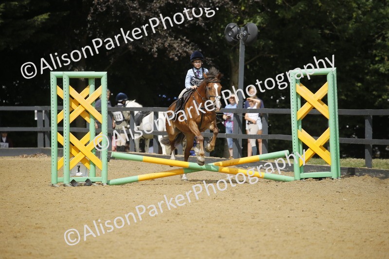 20250622-3824 - 50cm