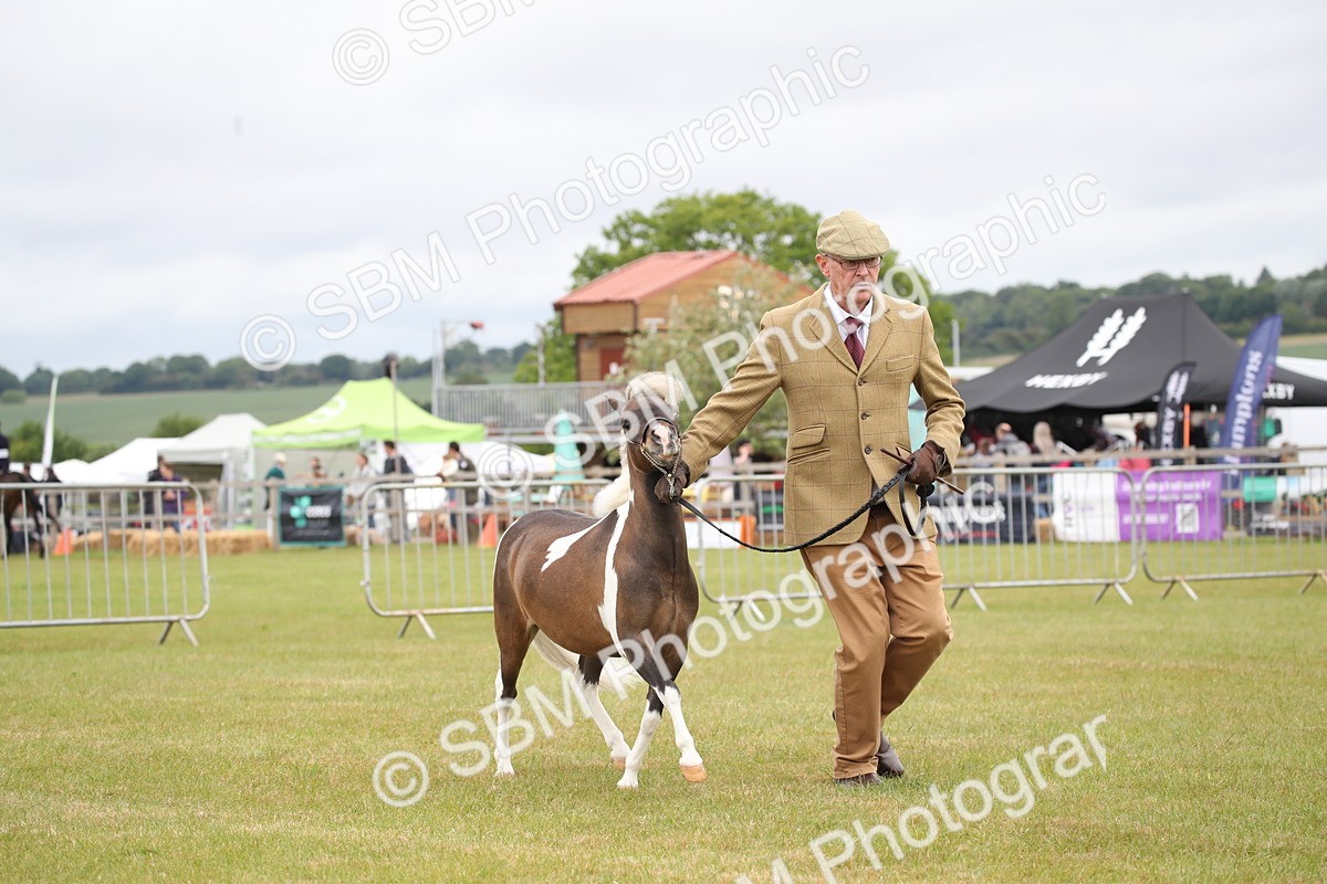 SBM_03980 - Class 23-25 - British Miniature Horse of the Year