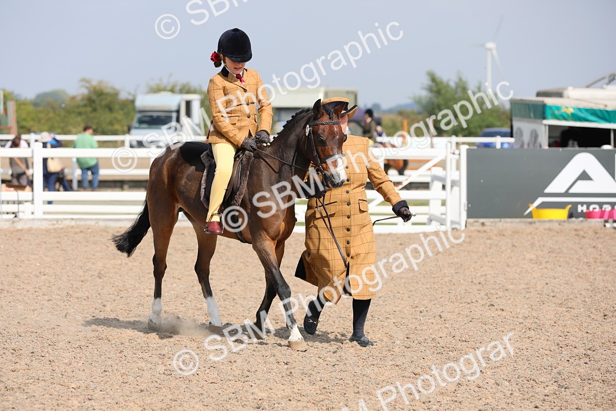 SBM_14042 - Class 309 Lead Rein Pony