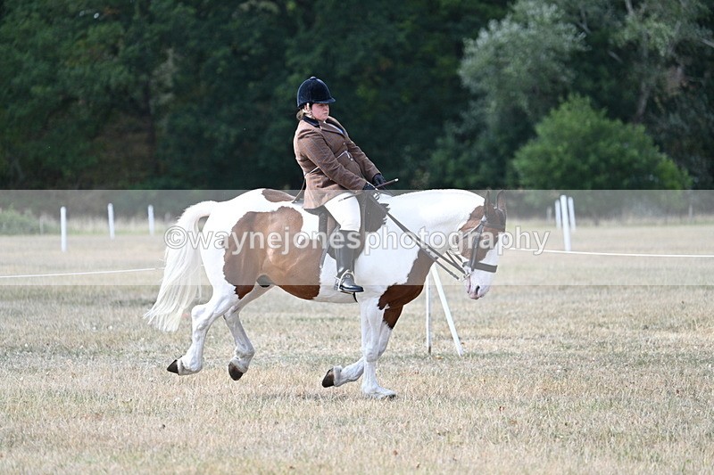 WJ7_7068 - Class 14 Ridden Coloured