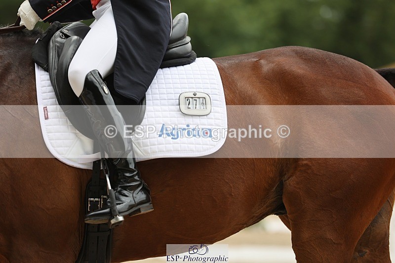 240524-120414-08516 - 274-JACK_OF_CLUBS-Rosalind_Canter