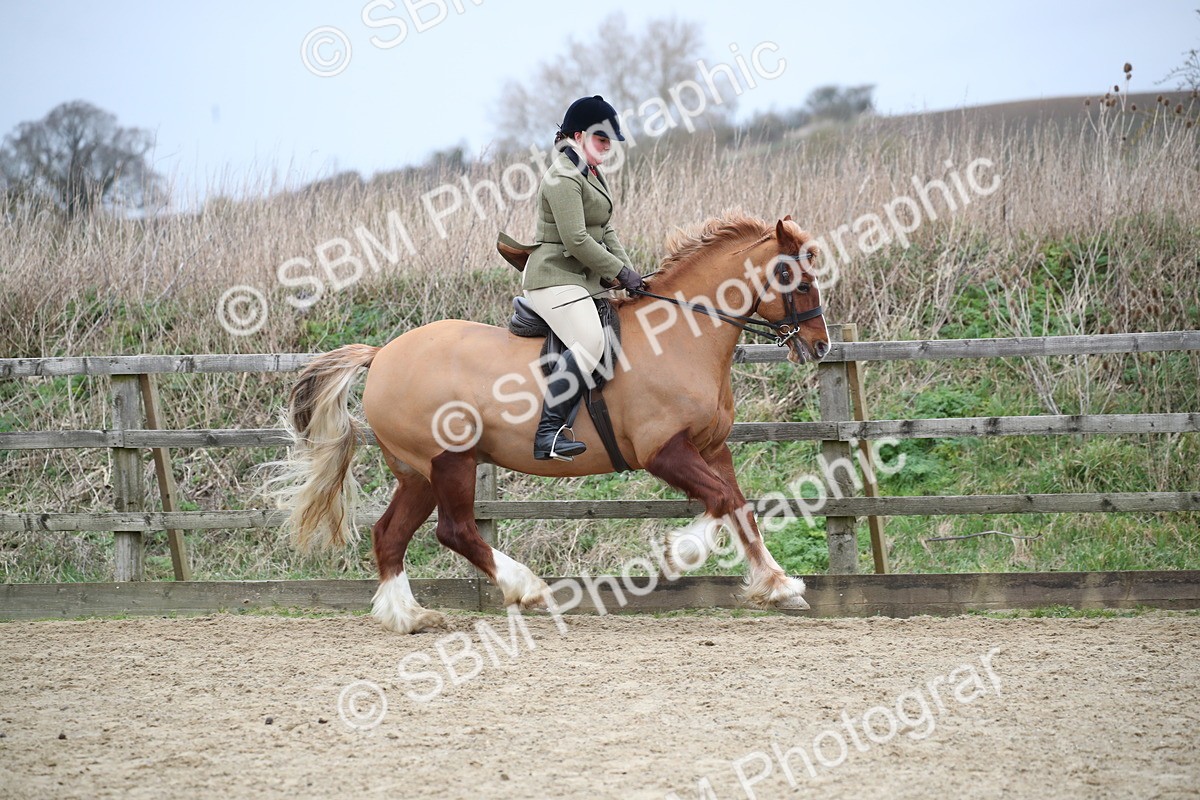 SBM_006116 - Class 10-13 - RIHS Small Large Breeds