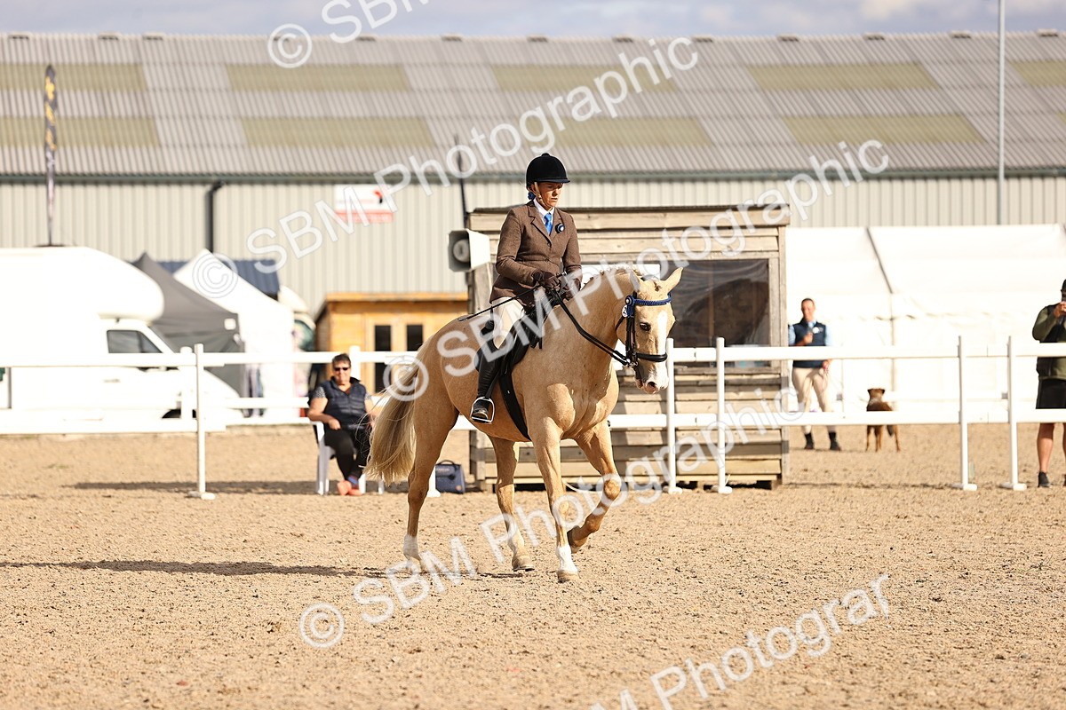 SBM_18217 - Class 423 - Equitation (best rider) Adult