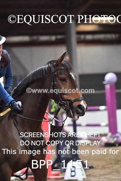 BPP_1151 - CLASS 7 Senior Newcomers/ 1.10m Open