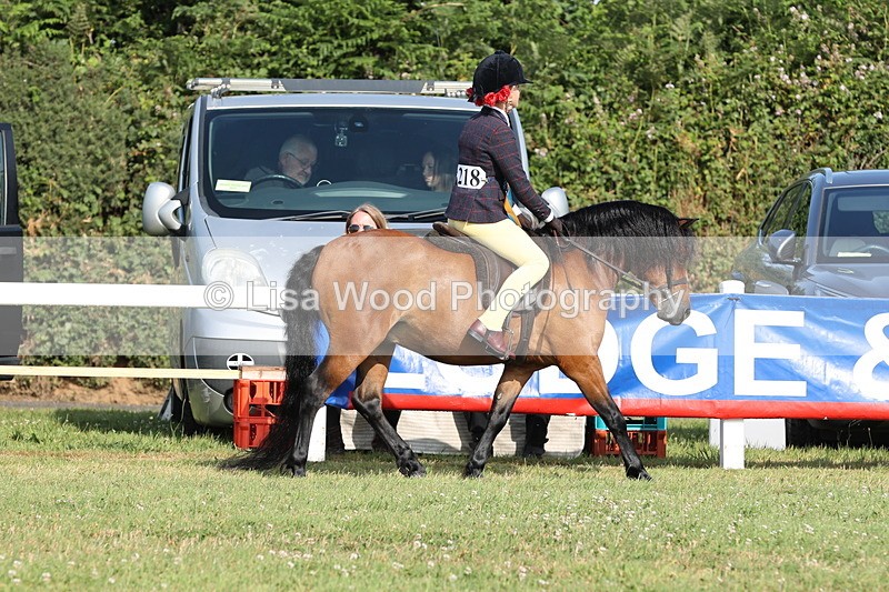 JPP_0604 - Class 15: Cornish Combination First Ridden