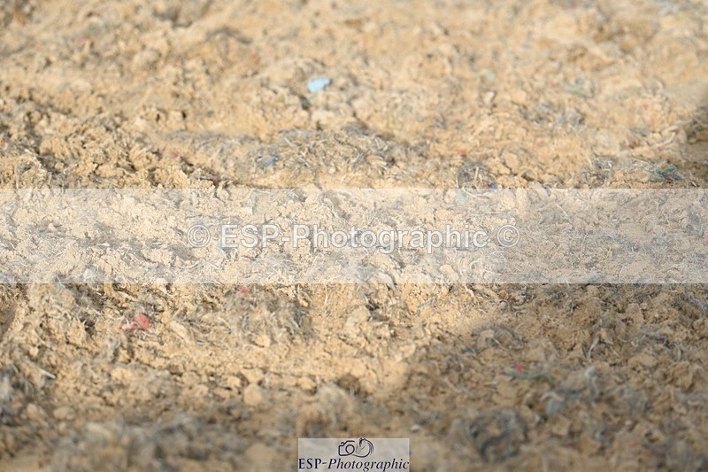 230813-084144-05682 - Cls 12 Elem Silver Start to 10.10 break