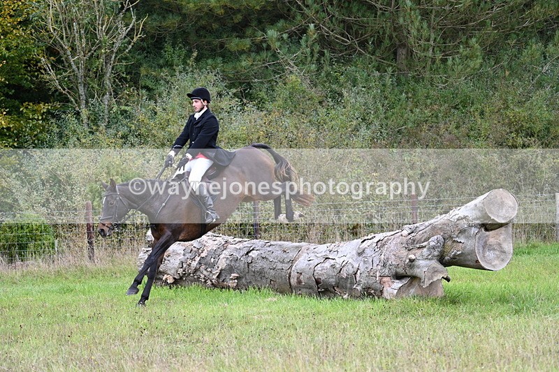 WJ7_3696 - Camera 1 Line 1