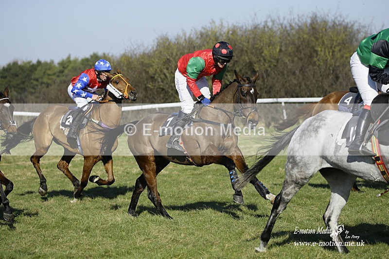 PtP 270222 57 - South & West Wilts Point-to-Point Larkhill 27/02/22