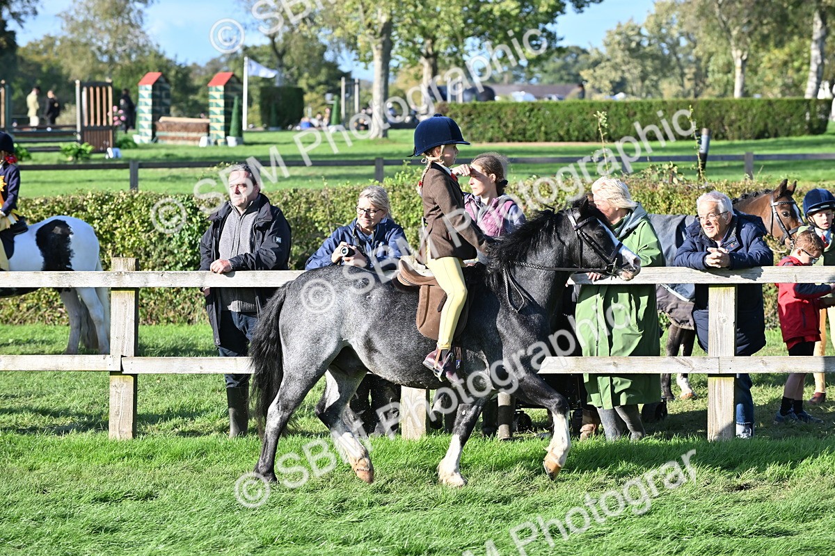 SBM_52994 - S23 - First Ridden Mountain & Moorland Pony