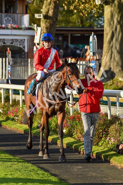 141023-Race 7-Star Ahoy-1721 - Race 7 4.45pm Coral 'Committed To Safer Gambling' Finale Handicap