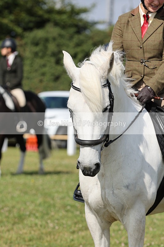 JPP_0878 - Class 16: Cornish Combination Young Rider