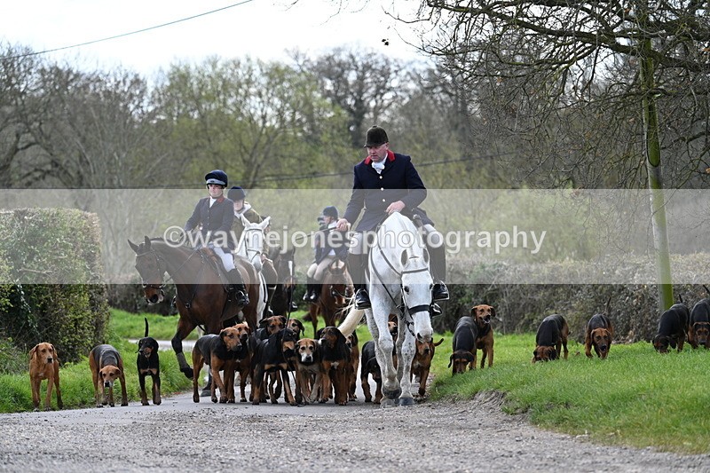 WJ7_9784 - Walk Home