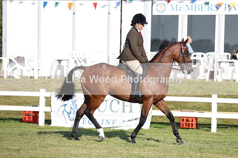 3E7A4915 - Class 1: Rising Star Small Hack/Riding Horses