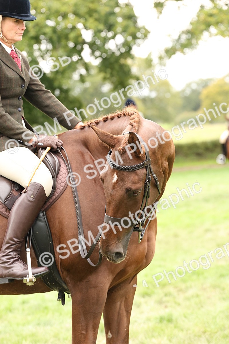 SBM_66388 - S66 - Hunter Ridden