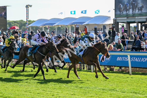 140525-Race 6-Ballistic Missile-2866 - Race 6 4.55pm British Stallion Studs EBF Novice Stakes