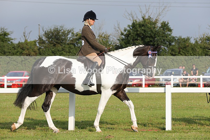 1X9A2818 - Class 25: Ridden Plaited Coloured Horse